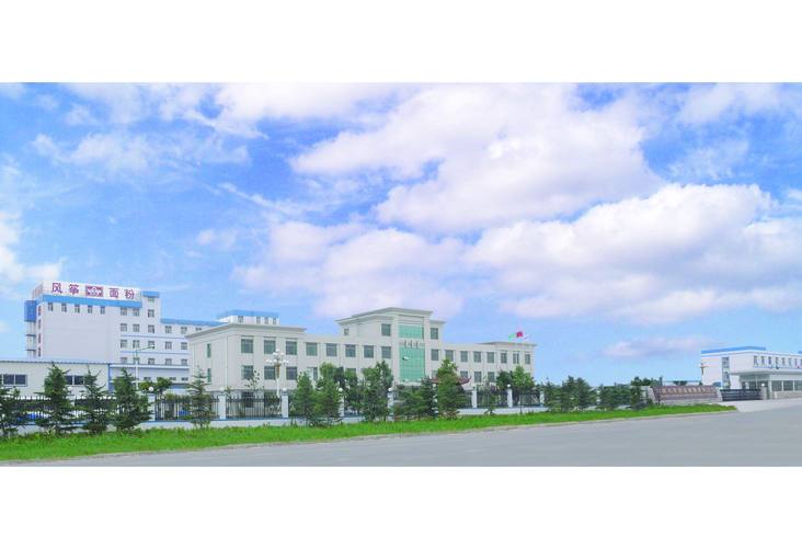风筝之都的匠心传承 潍坊风筝面粉有限责任公司的企业建设之路